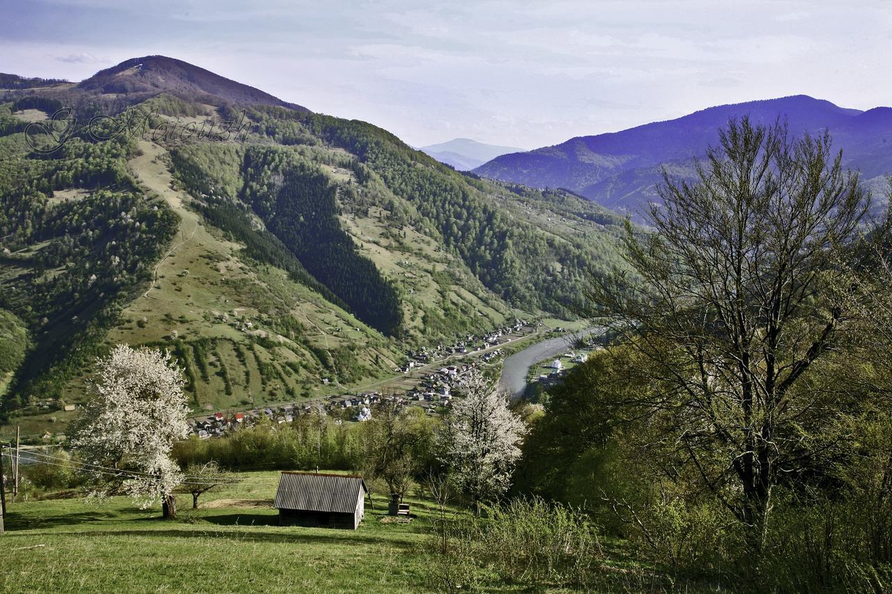 Dream Hostel Carpathians Рахов Экстерьер фото